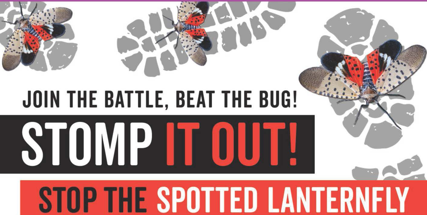 Photo 3. Example of the SLF “Stomp it out!” campaign in New Jersey. I New Jersey Department of Agriculture